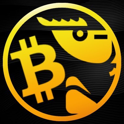 PlanctonCurieux's profile picture. 