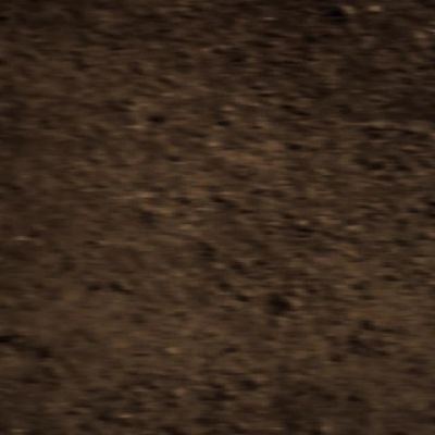 dnsh______'s profile picture. 