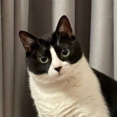 muxiangqiu's profile picture. 