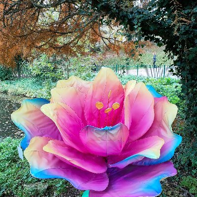 Interested in all things wellbeing. Nutritional therapist, yoga and mindfulness teacher.