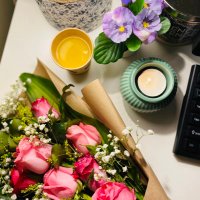 - أڤينوس 🏡. (@venus11i) Twitter profile photo