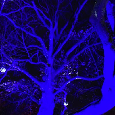 SlushPink666's profile picture. 