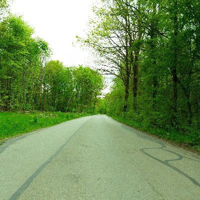 EliKormi's profile picture. Amateur nature photographer