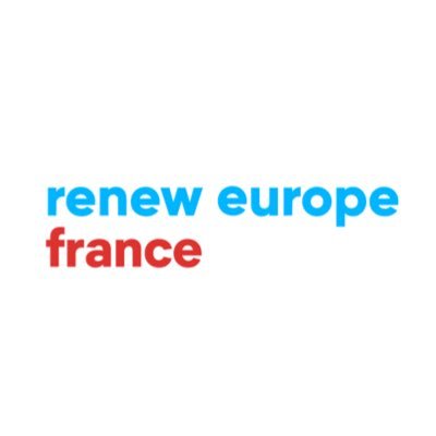 Renew Europe France