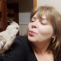 Bernadette Banks (@michaelkrammer6) 's Twitter Profile