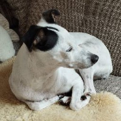 nordseekrabben's profile picture. 