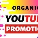 100 % real spotify promotion and youtube promotion