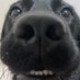 chuj (@satanek_debil) Twitter profile photo