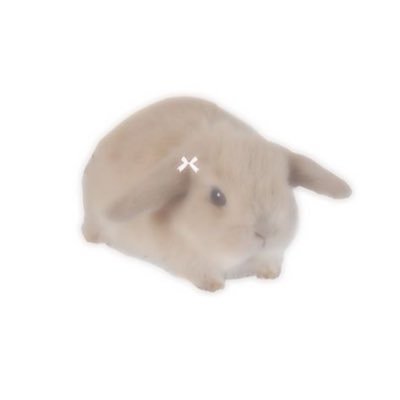 naviさんのプロフィール画像