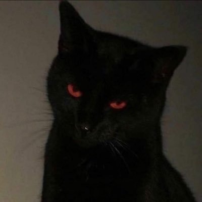 chanathit09's profile picture. 