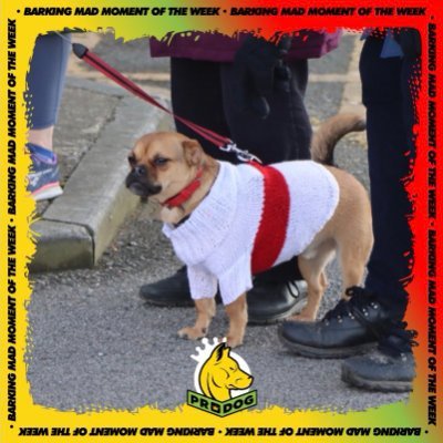 Hullkr1960's profile picture. Saw Jimi Hendrix live at the Skyline ballroom, Hull. Favourite countries, New Zealand, Australia and Canada.