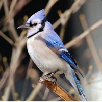 Prof Dr Helen Batty (@hbelfry) 's Twitter Profile Photo Prof Dr Helen Batty (@hbelfry) 's Twitter Profile Photo