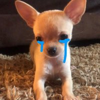 종식이.. (@4pjs20) 's Twitter Profile Photo 종식이.. (@4pjs20) 's Twitter Profile Photo