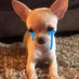 ์ข
์์ด.. (@4pjs20) Twitter profile photo ์ข
์์ด.. (@4pjs20) Twitter profile photo