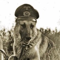 ๐๐๐๐ข๐ฌ๐ญ ๐๐จ๐ ๐๐ก๐ข๐ฌ๐ญ๐ฅ๐ (@doglover4everxo) 's Twitter Profile Photo ๐๐๐๐ข๐ฌ๐ญ ๐๐จ๐ ๐๐ก๐ข๐ฌ๐ญ๐ฅ๐ (@doglover4everxo) 's Twitter Profile Photo