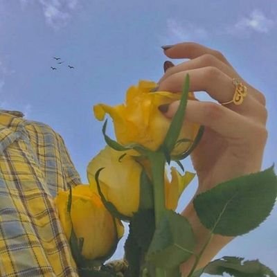 -اذا رايت انياب الليث بارزه 
فلا تضن ان الليث يبتسم ☆