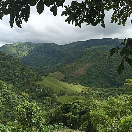 HugobosHugo's profile picture. Lic. en Educación Primaria. El valor de una educación universitaria  es el entrenamiento de la mente para pensar Einstein