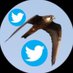 Sue🇮🇱💚🤍💜🏳️🌈Women, Life, Freedom (@eleonorasfalcon) Twitter profile photo Sue🇮🇱💚🤍💜🏳️🌈Women, Life, Freedom (@eleonorasfalcon) Twitter profile photo
