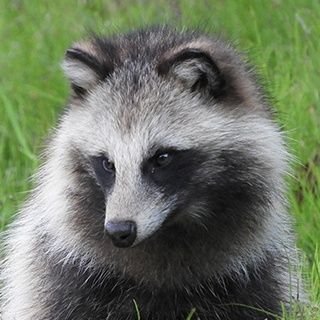 自己紹介しません