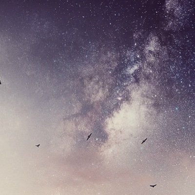 andrejgg's profile picture. 