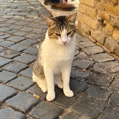 rneuman's profile picture. Social networks are like puppies -- how can you stop at just 3?