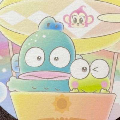 ハンギョドン&けろっぴが大好きでグッズを集めています。
無言フォロー失礼致します。