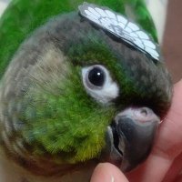 むうじろ (@muu_jirou) 's Twitter Profile Photo むうじろ (@muu_jirou) 's Twitter Profile Photo