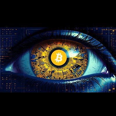 zwarren88's profile picture. Le goût du risque