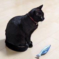 黒猫コタヒバ🐈‍⬛ (@mkirdth) Twitter profile photo