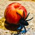 Spooky Produce 🌱🎃🍌👻🫑 (@spookyproduce) Twitter profile photo