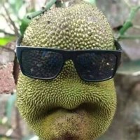 PuangRahmang🇲🇨🇵🇸 (@puangrahmang) 's Twitter Profile Photo