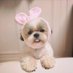 กานต์สินี พุฒชัยประดิษฐ์ (@ployln1999) Twitter profile photo กานต์สินี พุฒชัยประดิษฐ์ (@ployln1999) Twitter profile photo