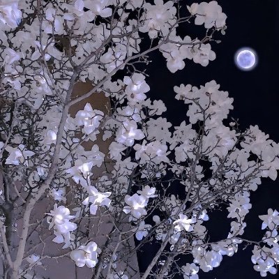 palcsfrankie's profile picture. Hi there!