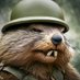 General Woodchuck (@genwoodchuck) Twitter profile photo