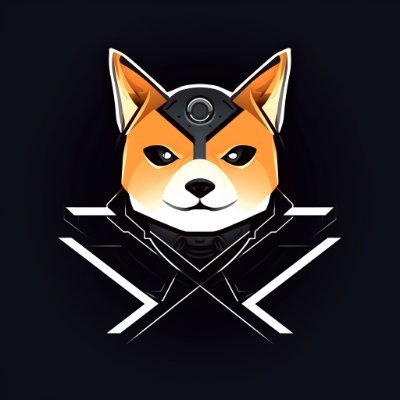 xAIDOGE_io Profile Picture