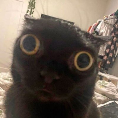 Buget_26's profile picture. ❗NSFW arts warning ❗
Like watching and drawing silly things!!
Rus/Eng, 22 y.o, eh... Wanna be friends?