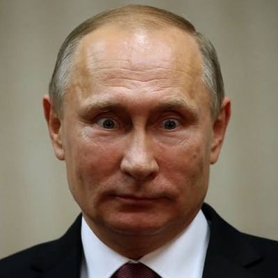 Vladimir Putout Profile
