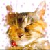 麦わら猫(胡蝶らら)🍀🐾 (@lala54673215) Twitter profile photo 麦わら猫(胡蝶らら)🍀🐾 (@lala54673215) Twitter profile photo