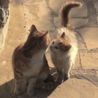 . (@hiddengame03) 's Twitter Profile