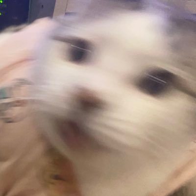 ですかねえ