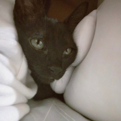 ユエンさんのプロフィール画像