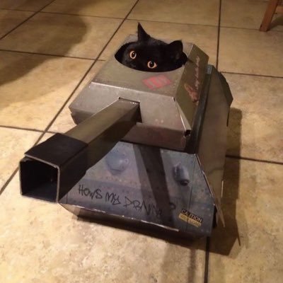 chTn878455's profile picture. 