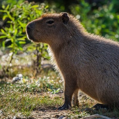 COOLCOOL_Wen's profile picture. You Only Live Once