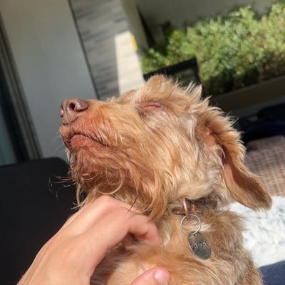 OfficialTermted's profile picture. 