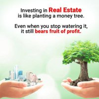 PJP AMG (@briefs4me) 's Twitter Profile