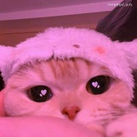 👀 (@mecnunnerdesiin) Twitter profile photo