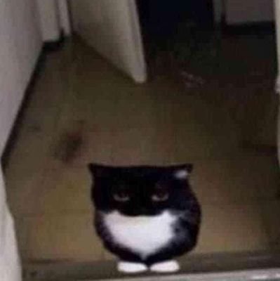 Buttermantela's profile picture. I need to improvise in my life