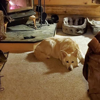 FischerNat14089's profile picture. You always have to take life on the bright side, nothing is eternal on this earth.