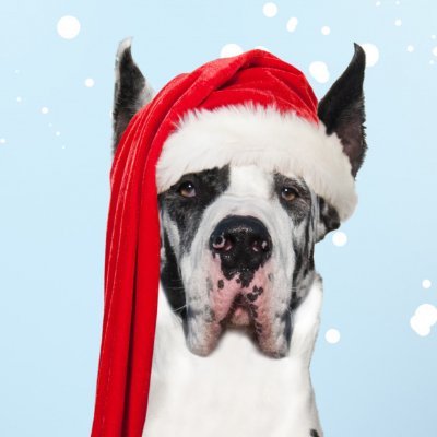 bradley_ca50852's profile picture. 