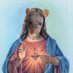 Rat Jesus🎗💤🎗 (@AmRatJesus) Twitter profile photo